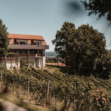 Villa Weingut Assigal à Leibnitz Extérieur photo