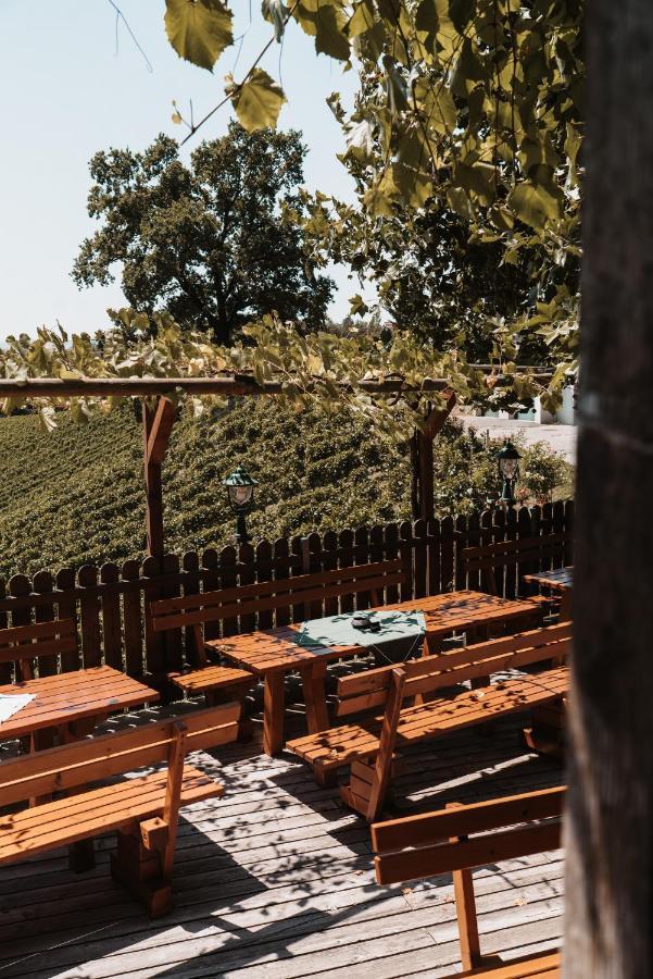 Villa Weingut Assigal à Leibnitz Extérieur photo