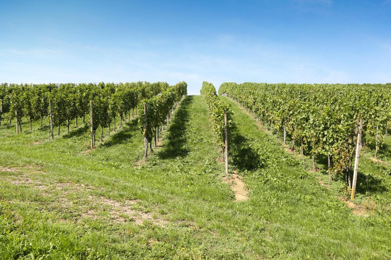 Villa Weingut Assigal à Leibnitz Extérieur photo